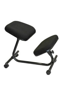 Karo Wellback Posture Chair